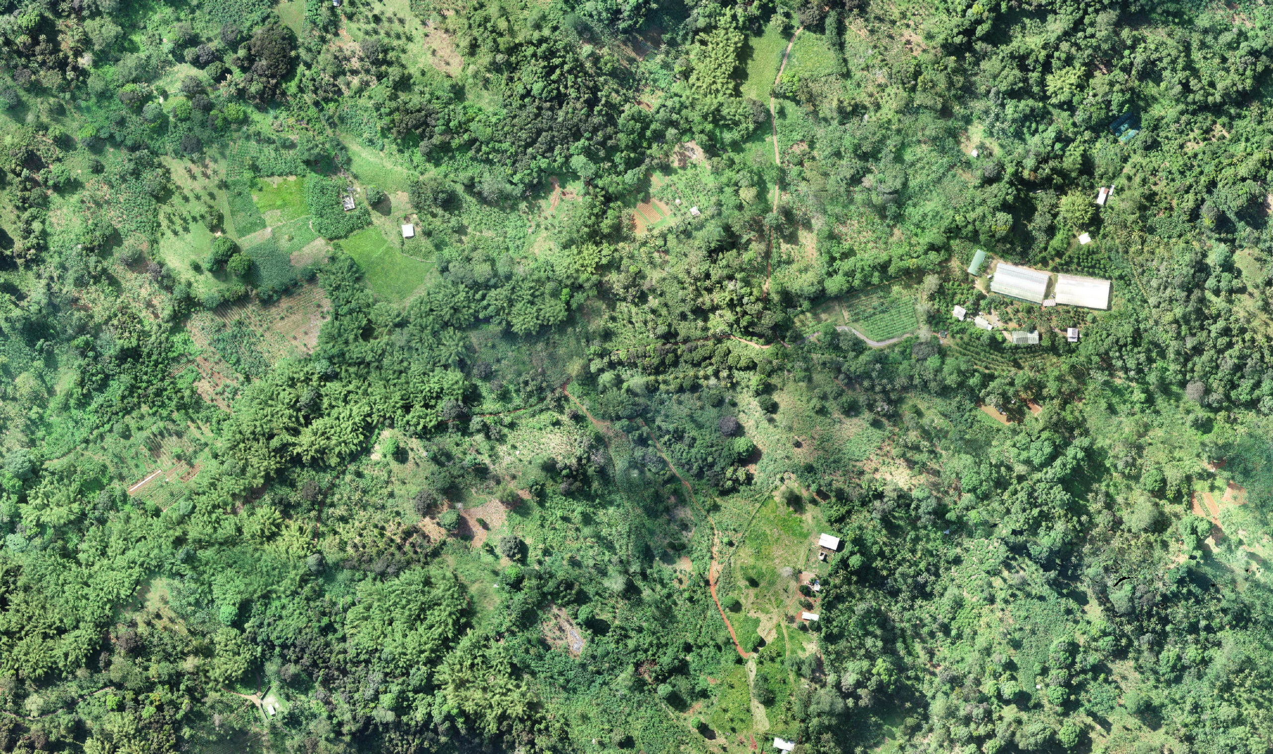 opam observatoire agricole Mayotte