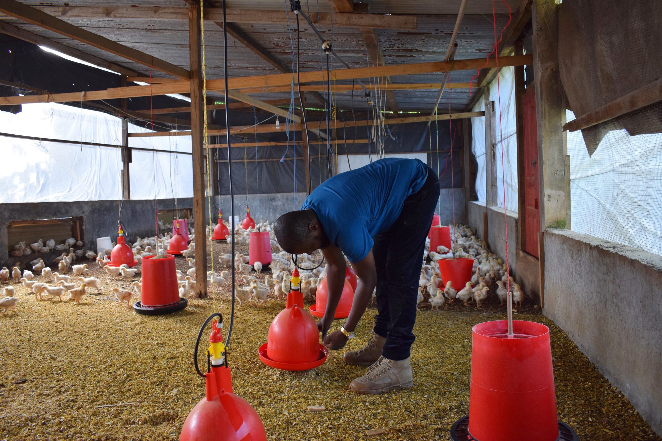 Ndzakou (©) Cécile Massin