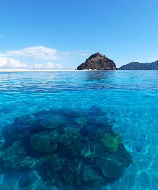 le lagon héberge une biodiversité riche et unique